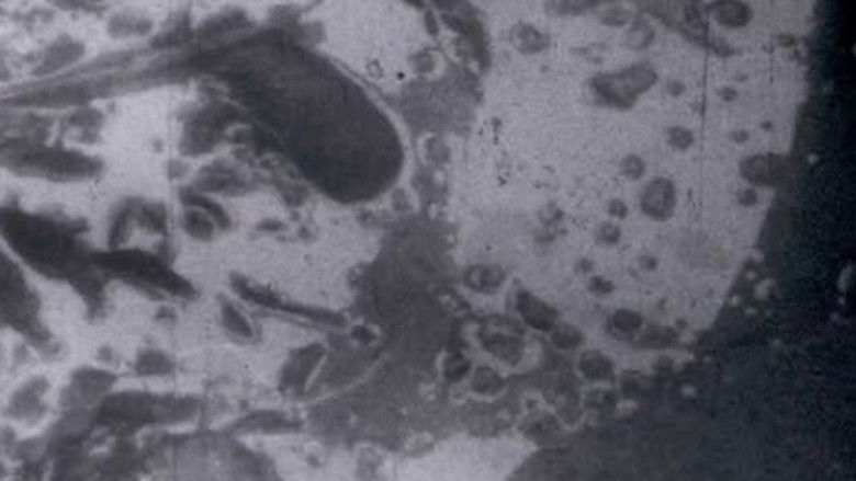 кадр из фильма Aquí