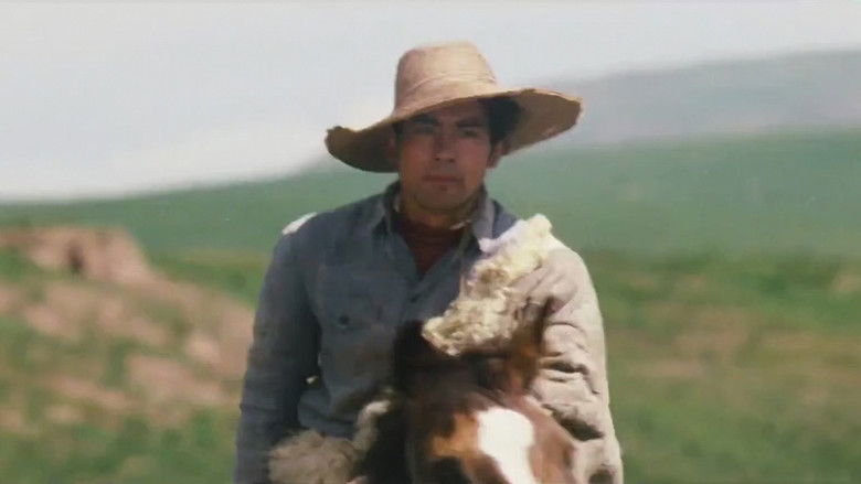 кадр из фильма 牧马人