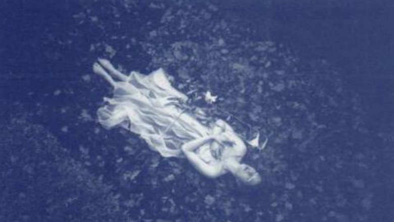 кадр из фильма 花を摘む少女と虫を殺す少女