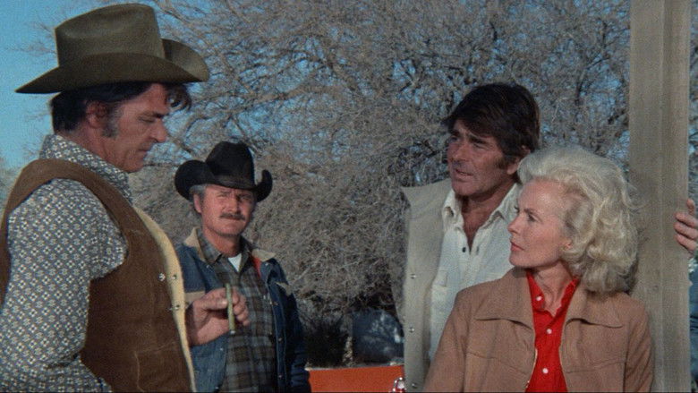 кадр из фильма Ночь кролика