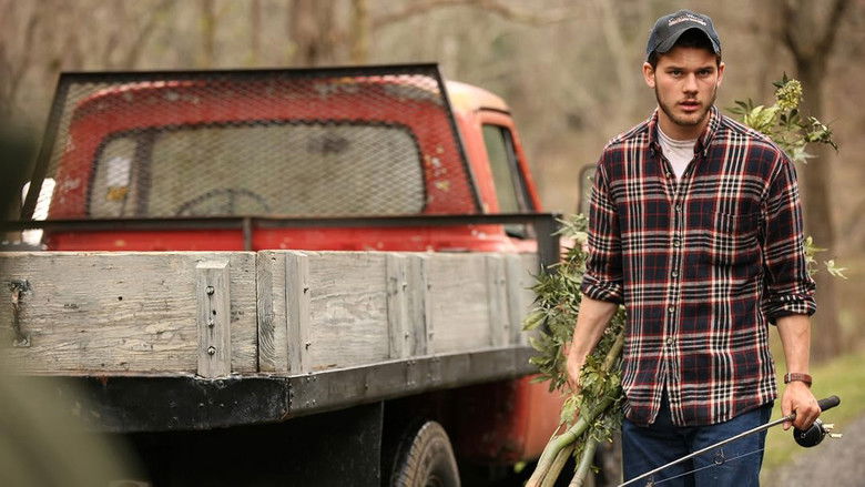 кадр из фильма Мир, созданный без изъяна