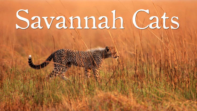 кадр из фильма Savannah Cats