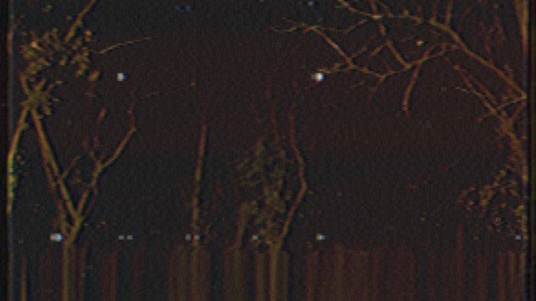 кадр из фильма The Forest