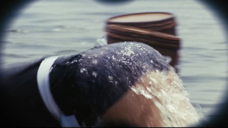 кадр из фильма Непристойная ныряльщица
