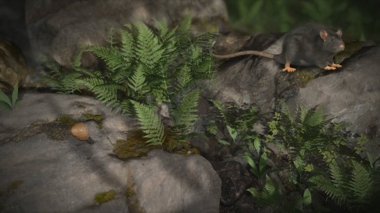 кадр из фильма Accidental Host: The Story of Rat Lungworm Disease