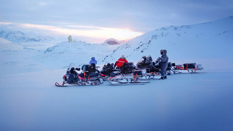 кадр из фильма Bear Witness