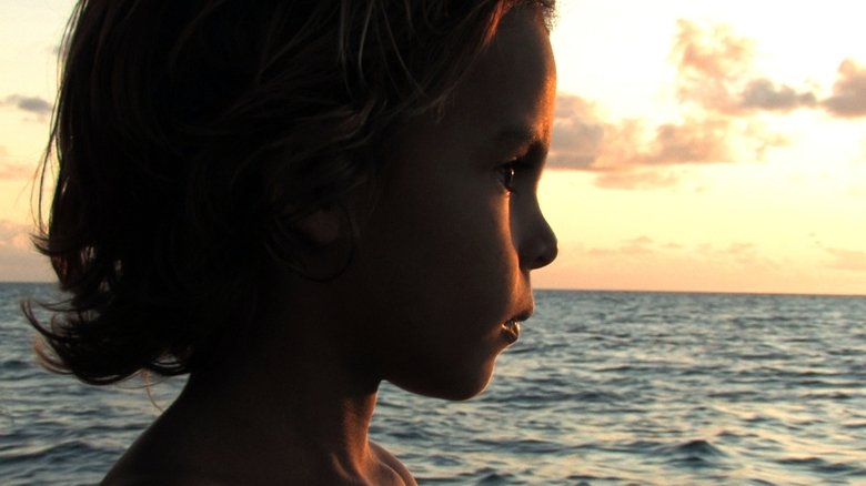 кадр из фильма Alamar