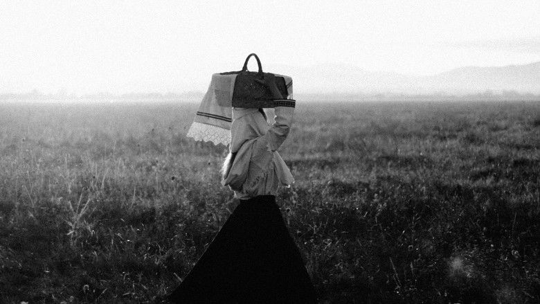 кадр из фильма Doina