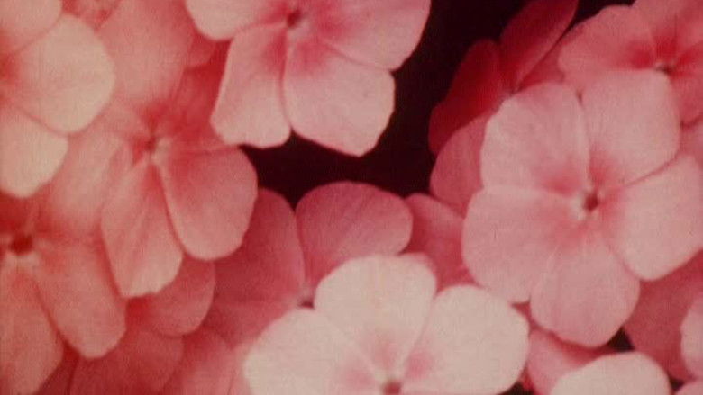 кадр из фильма Bark-Rind