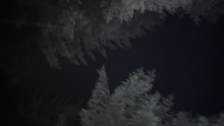 кадр из фильма Last to Die