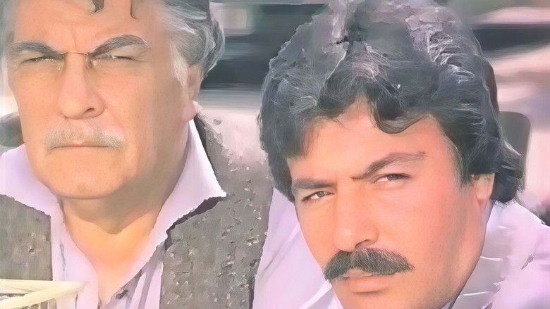 кадр из фильма Olmaz Olsun