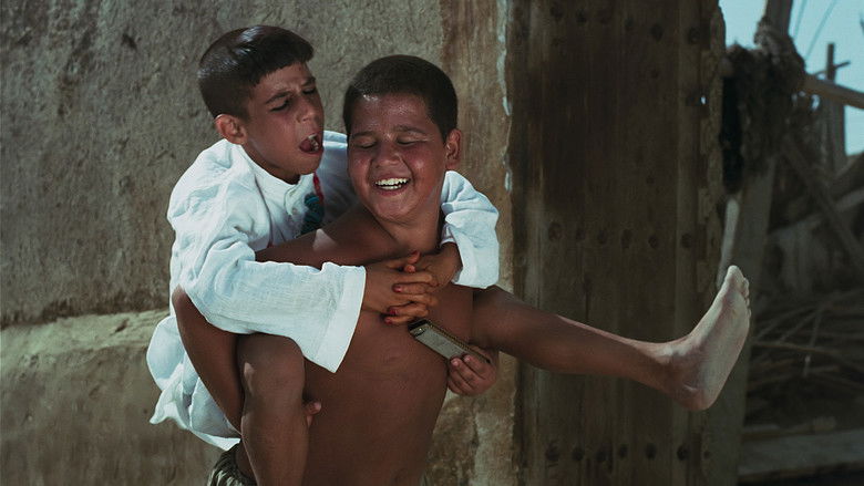 кадр из фильма ساز دهنی