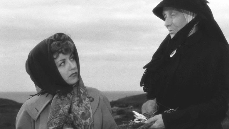 кадр из фильма Pattes blanches