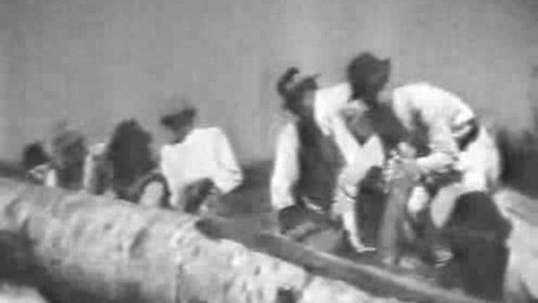 кадр из фильма Буковина, земля Украинская