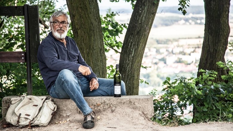 кадр из фильма Теория тигра