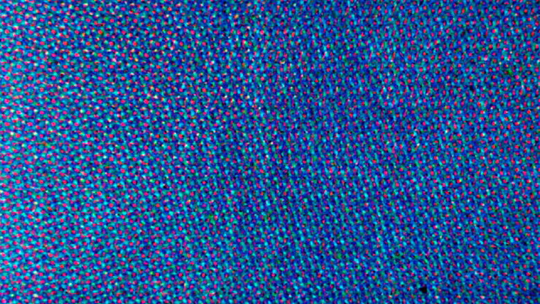 кадр из фильма Blue Movie