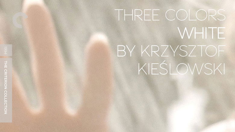 кадр из фильма Три цвета: Белый