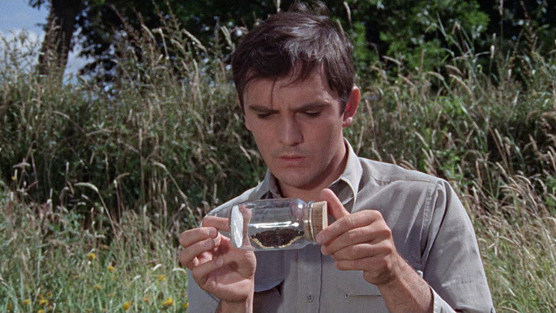 кадр из фильма Коллекционер