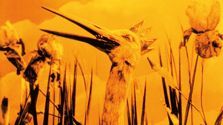 кадр из фильма Les Grenouilles qui demandent un roi