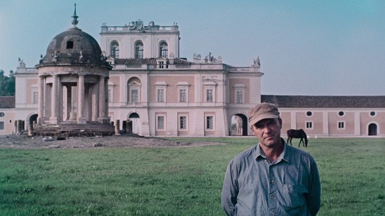 кадр из фильма Bella e perduta