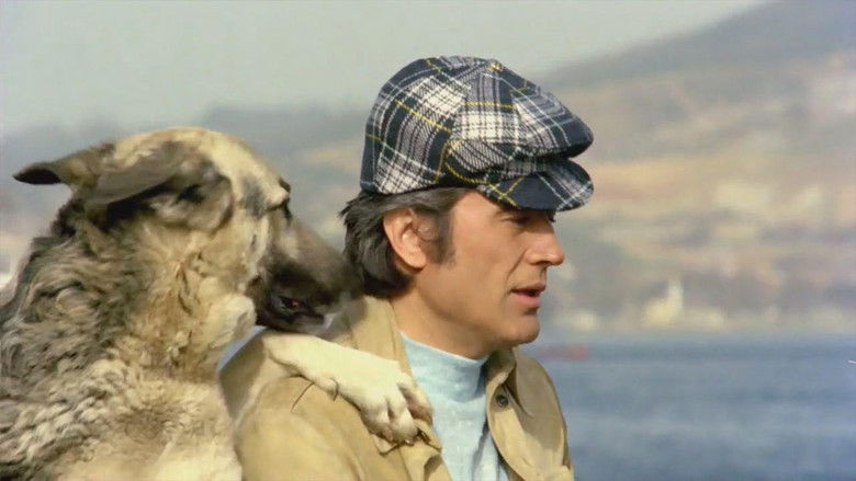 кадр из фильма İstasyon