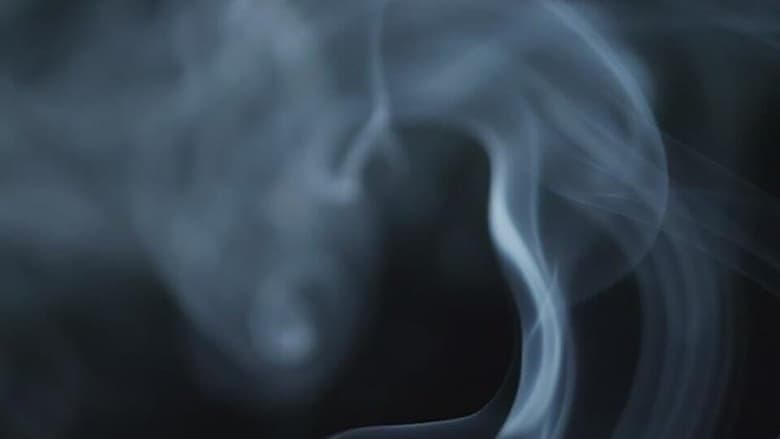 кадр из фильма The Cannabis Question