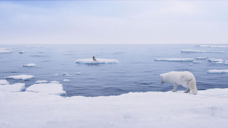 кадр из фильма Кина и Юк: Пушистые приключения