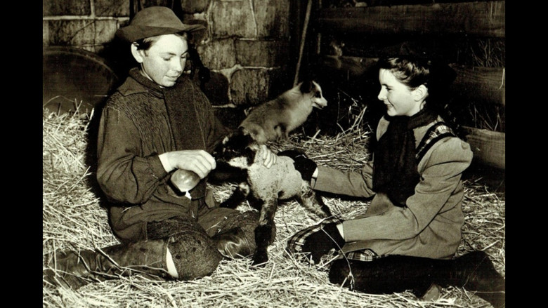 кадр из фильма The Secret Garden