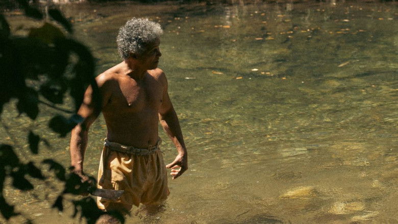 кадр из фильма Belo Ouro