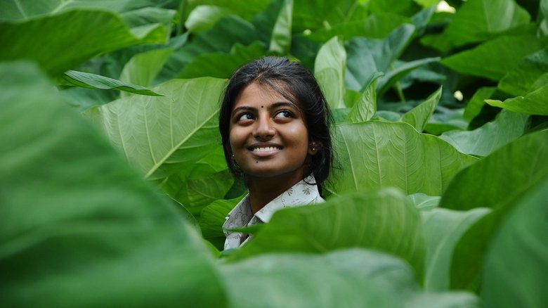 кадр из фильма கயல்