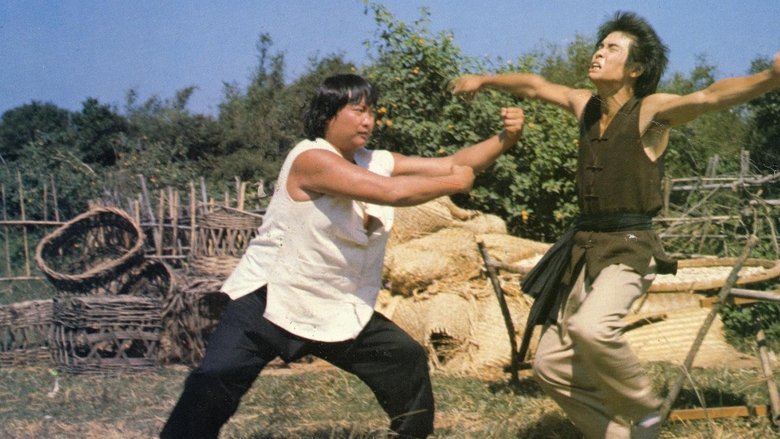 кадр из фильма Невероятный мастер кунг-фу