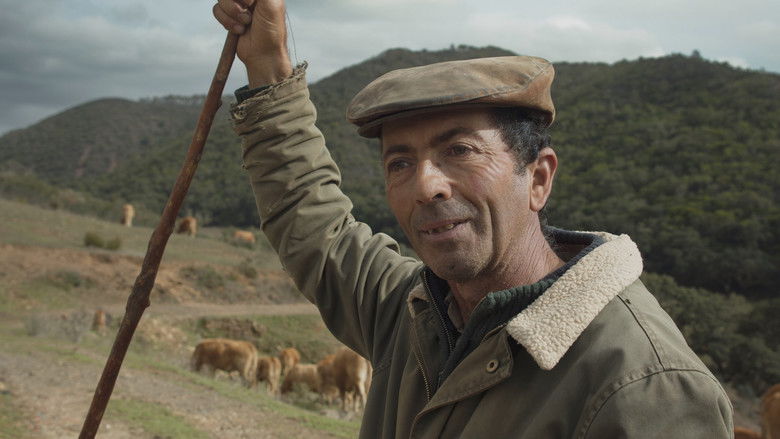 кадр из фильма Sagres