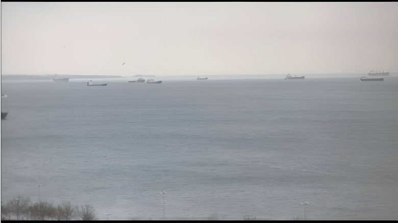 кадр из фильма Trip To Turkey