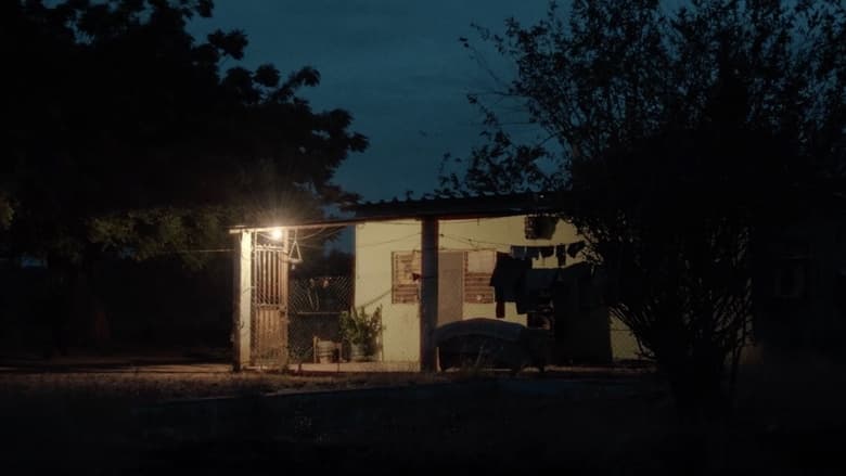 кадр из фильма Аудио и аллигатор