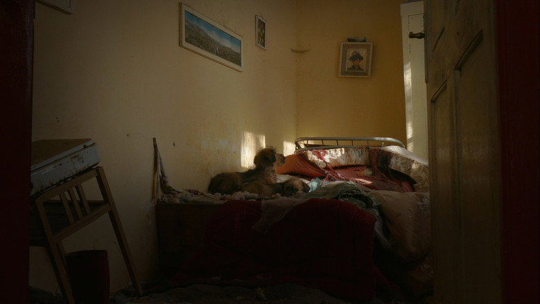 кадр из фильма Призори из живота џукца