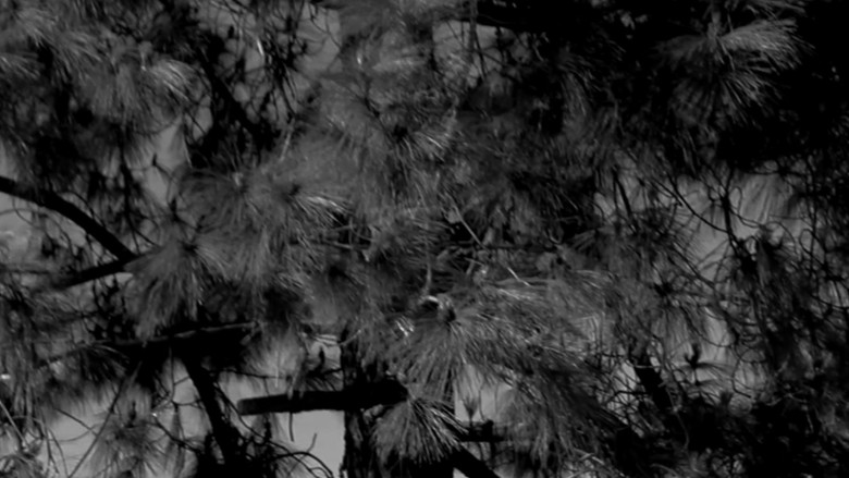 кадр из фильма city of angels