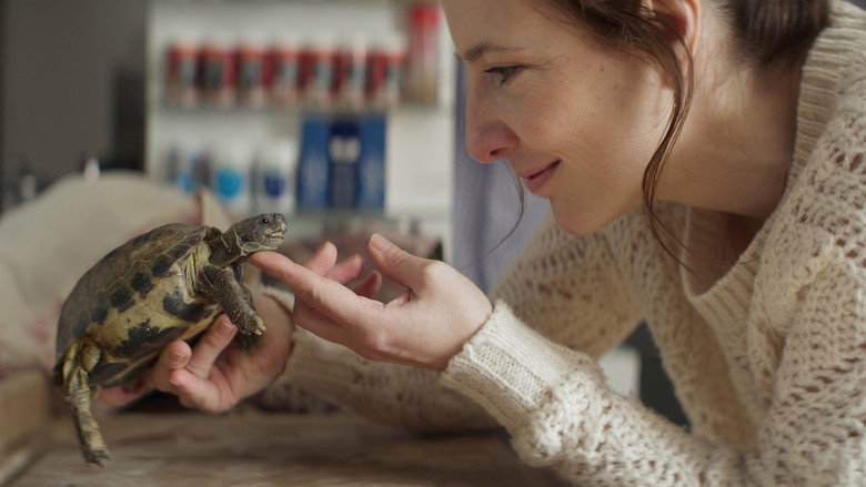 кадр из фильма Draußen die Welt