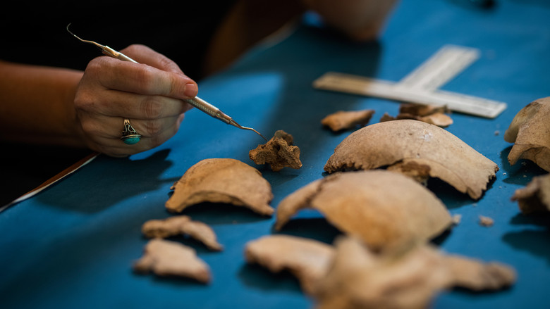 кадр из фильма Expedition Amelia