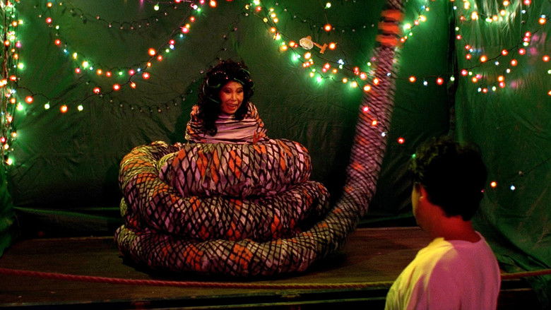 кадр из фильма 熱帶魚