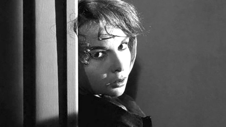 кадр из фильма La Chatte