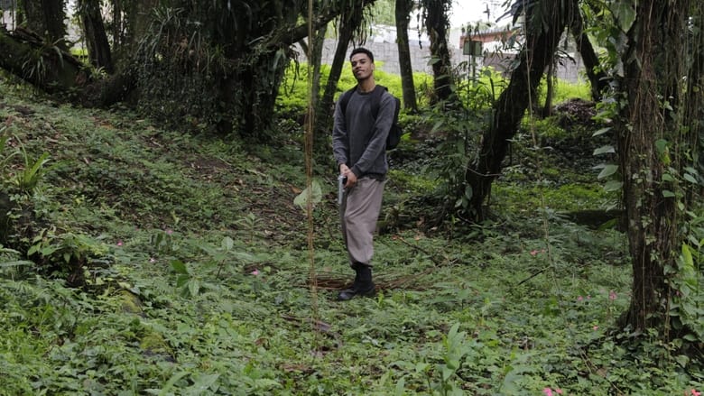 кадр из фильма Corvo de Madeira