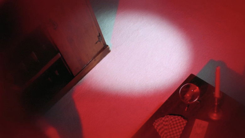 кадр из фильма Ведьма любви