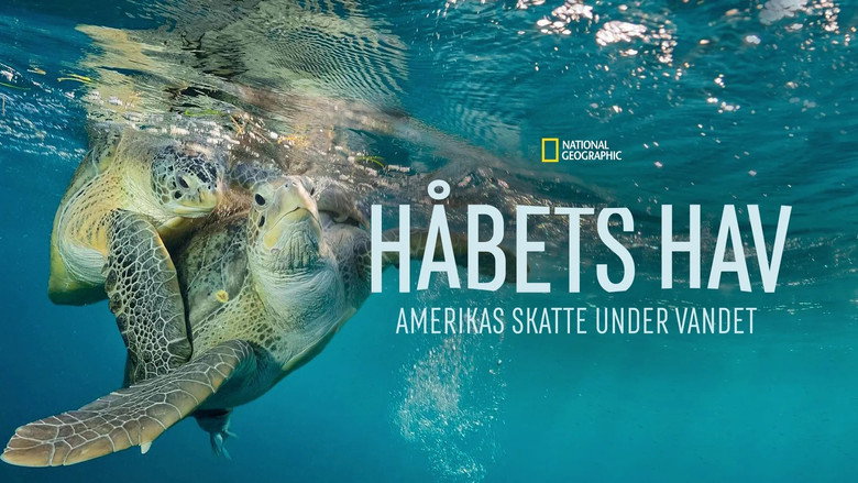 кадр из фильма Sea of Hope: America's Underwater Treasures