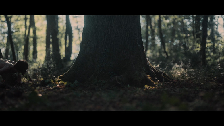 кадр из фильма Truffle