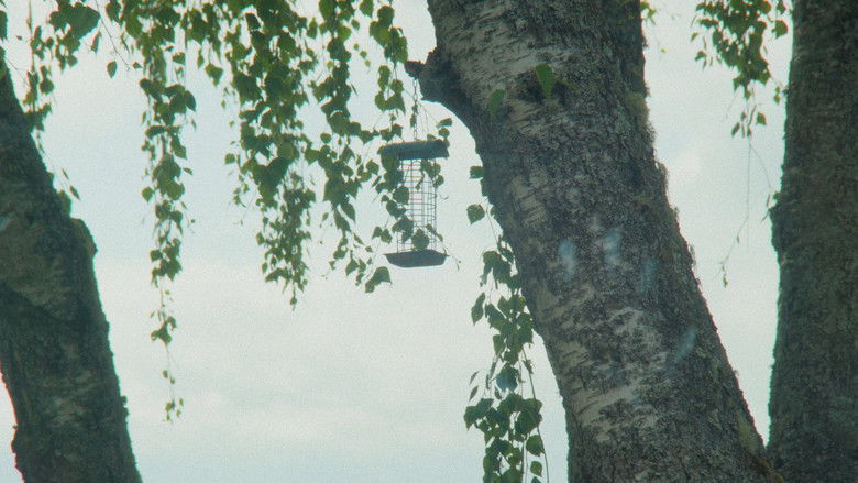 кадр из фильма Du slår meg som en kul fyr