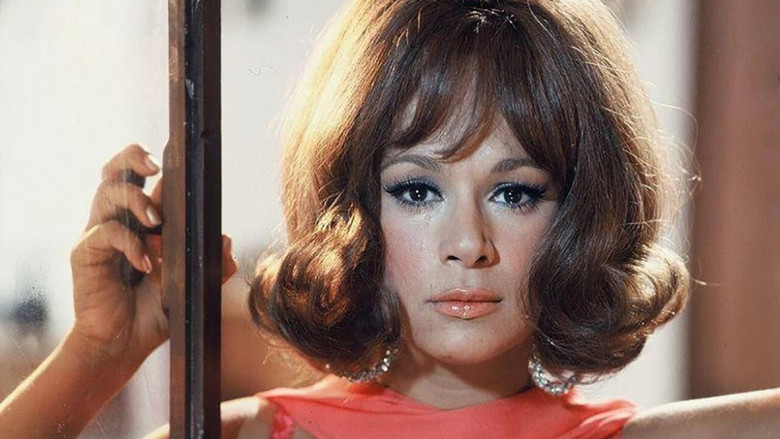 кадр из фильма Η Αρχόντισσα κι ο Αλήτης