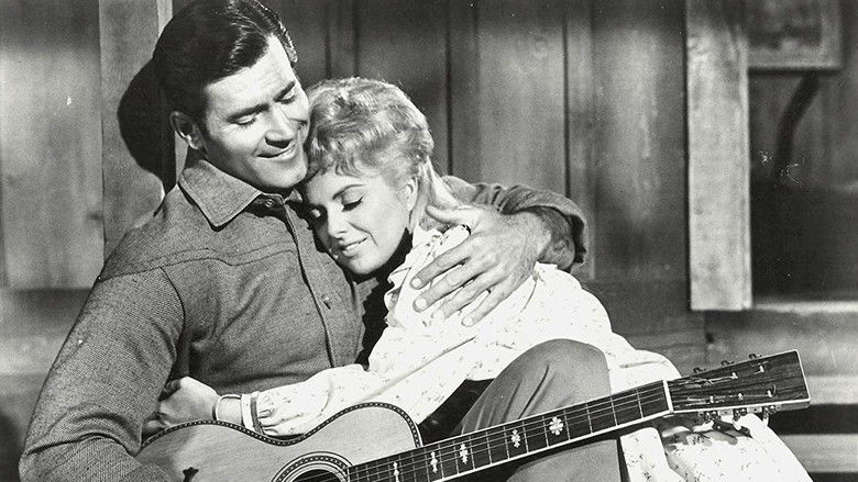 кадр из фильма Ночь гризли