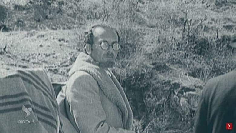 кадр из фильма Shembja e idhujve