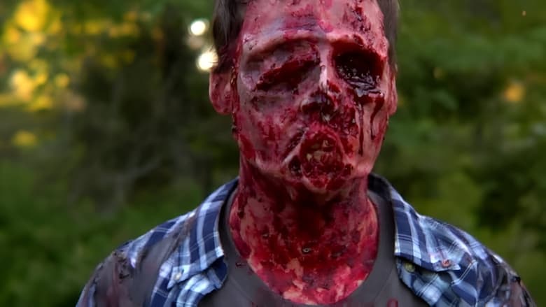 кадр из фильма The Sky Has Fallen