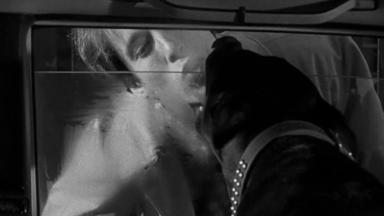 кадр из фильма Dobermann